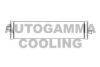 AUTOGAMMA 105681 Radiator, engine cooling
